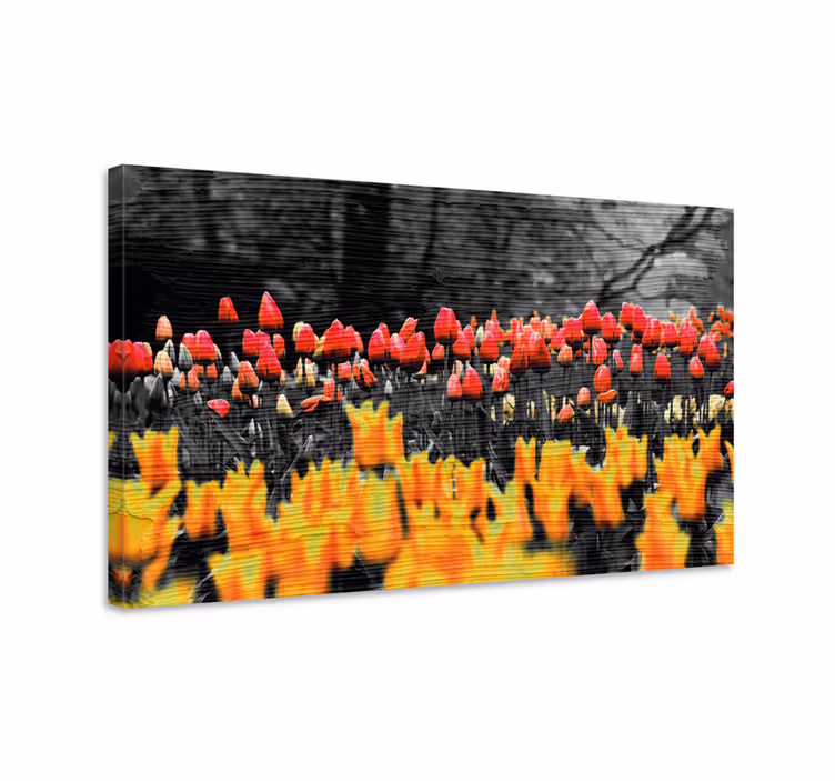 Värikäs tulppaanipuutarha kukka ja kasvi canvas taulu - Tenstickers
