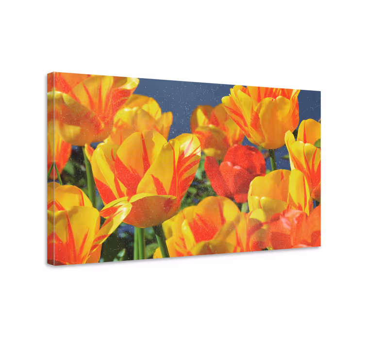 Punaiset ja keltaiset tulppaanit canvas taulu kukka - Tenstickers