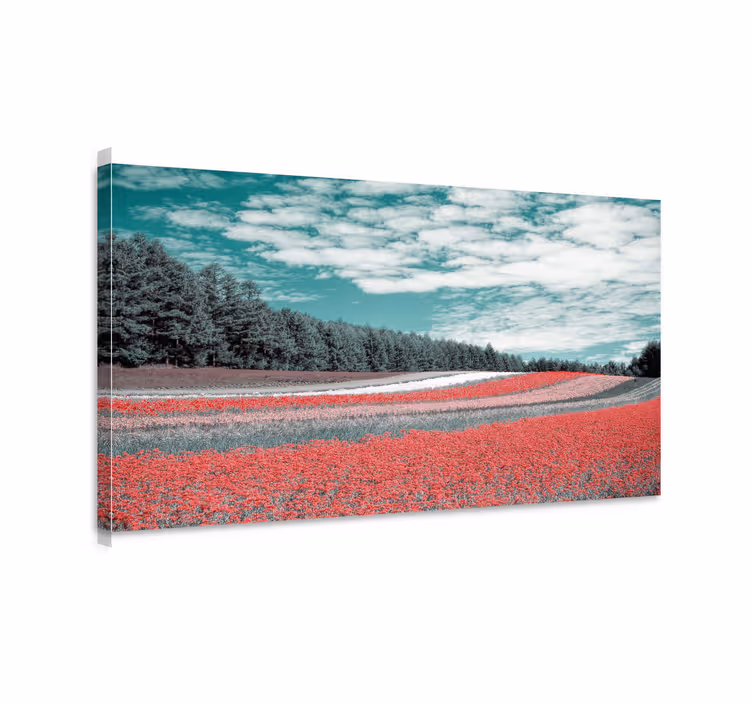 Värikäs kukkakenttä maisema canvas taulu - Tenstickers