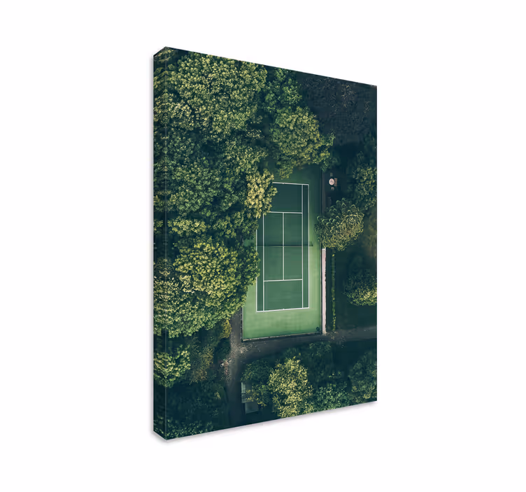 Näkymä tenniskentälle urheilu canvas taulu - Tenstickers