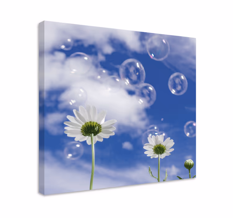Koiranputkea ja kuplia kukka ja kasvi canvas taulu - Tenstickers