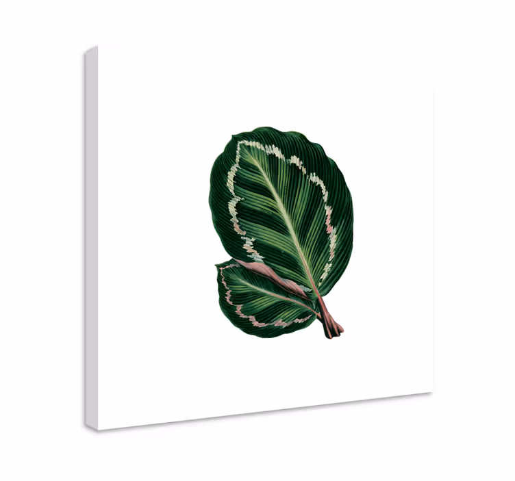 Suuri lehtimuoto canvas taulu - Tenstickers