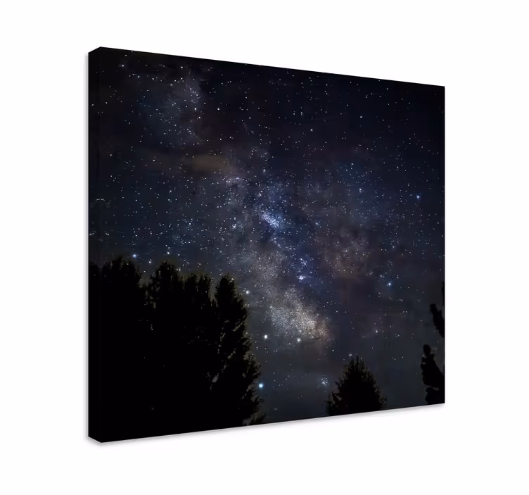 Yö tähtitaivas canvas taulu maisema - Tenstickers