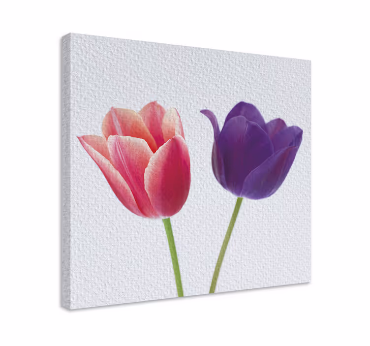 Violetit ja vaaleanpunaiset tulppaanit canvas taulu kukka - Tenstickers