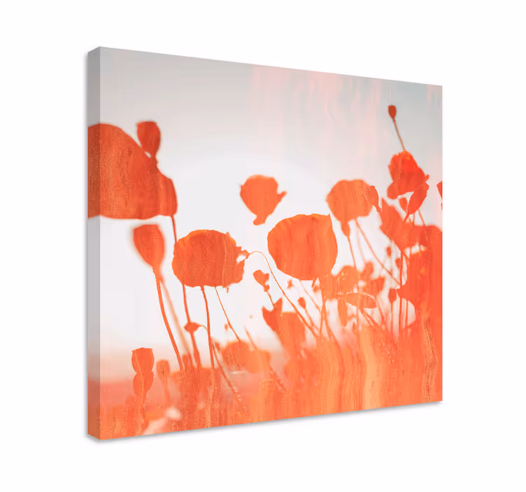 Herkät kukkivat unikkopellot canvas-taulu - Tenstickers