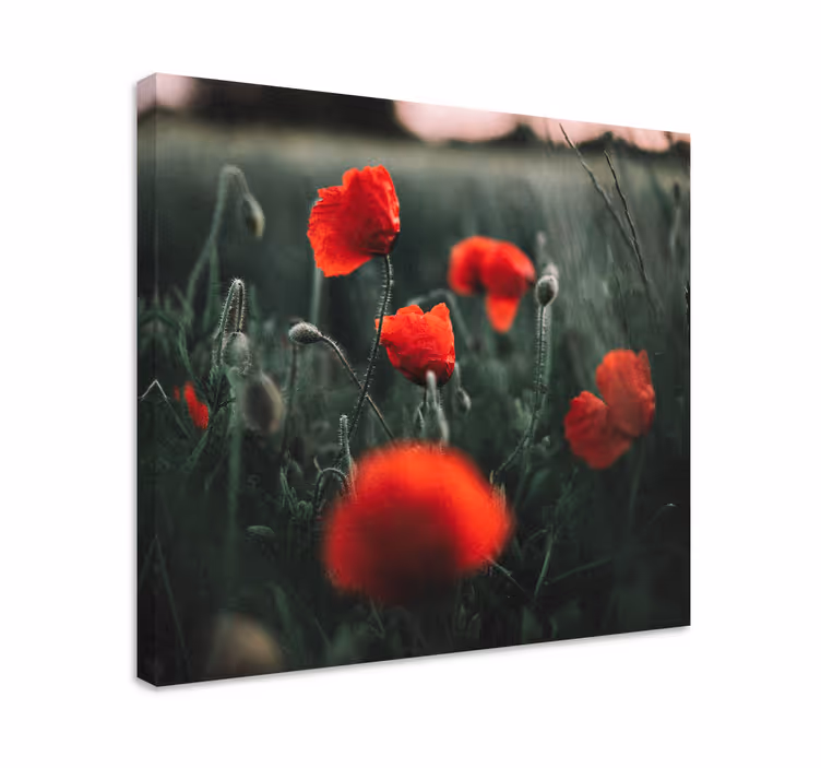 Elävä unikkokukka canvas taulu - Tenstickers