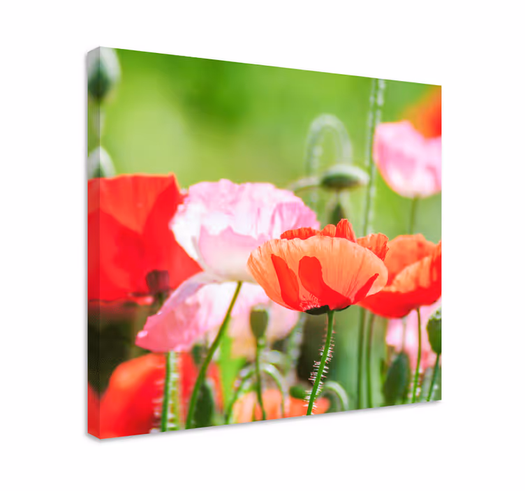 Värikäs unikkokimppu kukka ja kasvi canvas taulu - Tenstickers