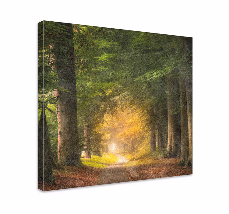 Kävely metsän läpi canvas taulu maisema - Tenstickers