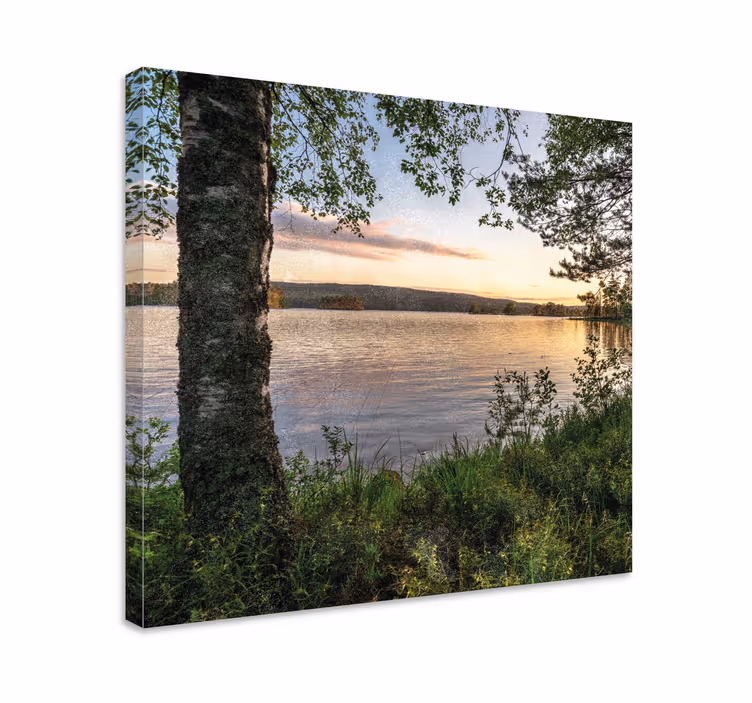 Metsä järven rannalla canvas taulu maisema - Tenstickers