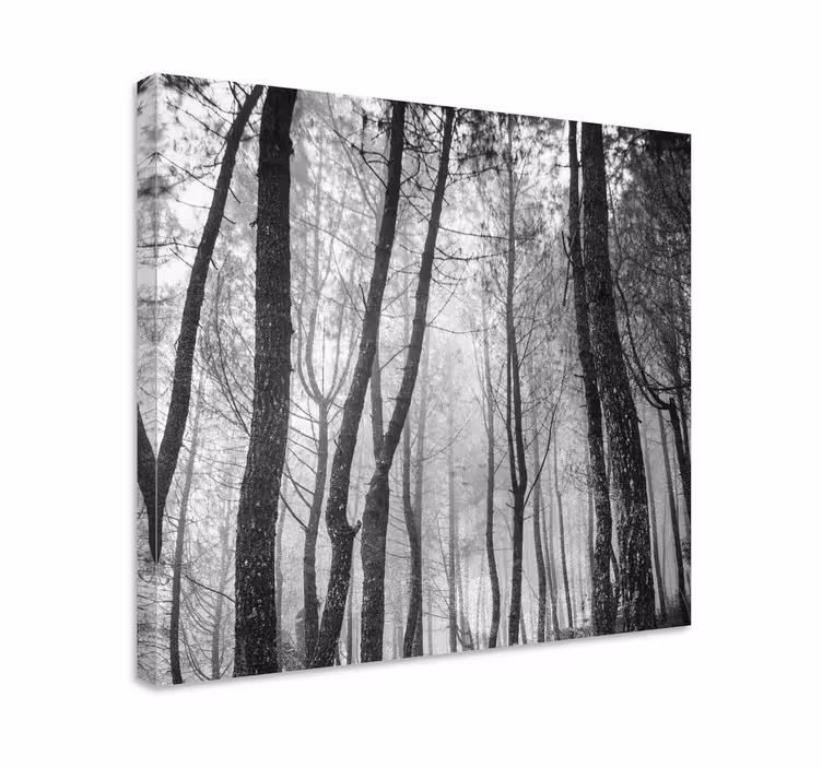 Sumuinen metsä ylhäältä canvas taulu maisema - Tenstickers