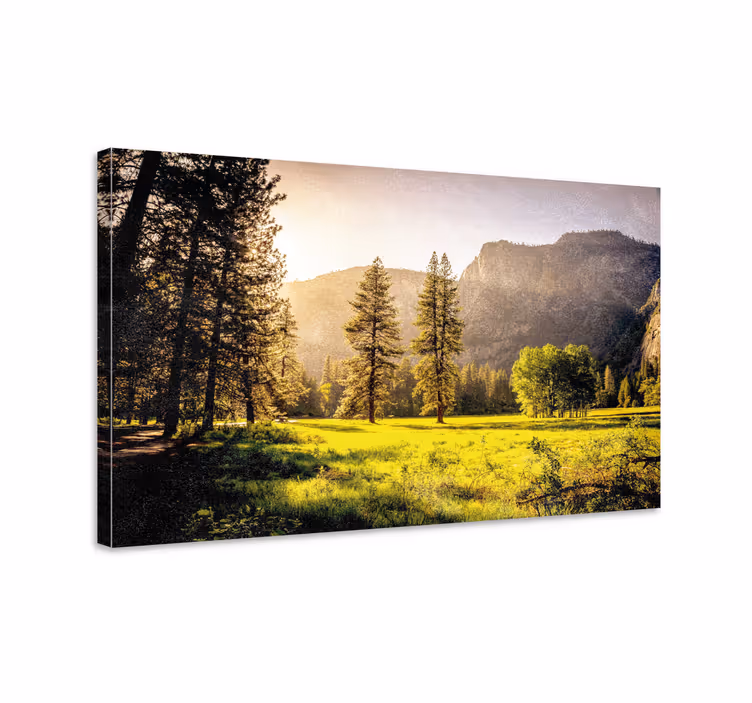 Auringonsäteet puiden läpi canvas taulu maisema - Tenstickers