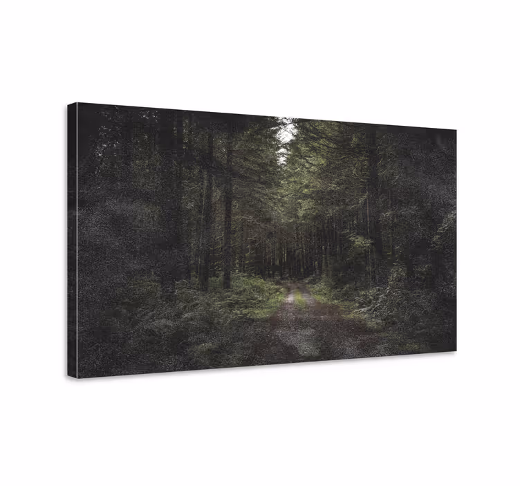 Metsäpolun rauha canvas taulu - Tenstickers