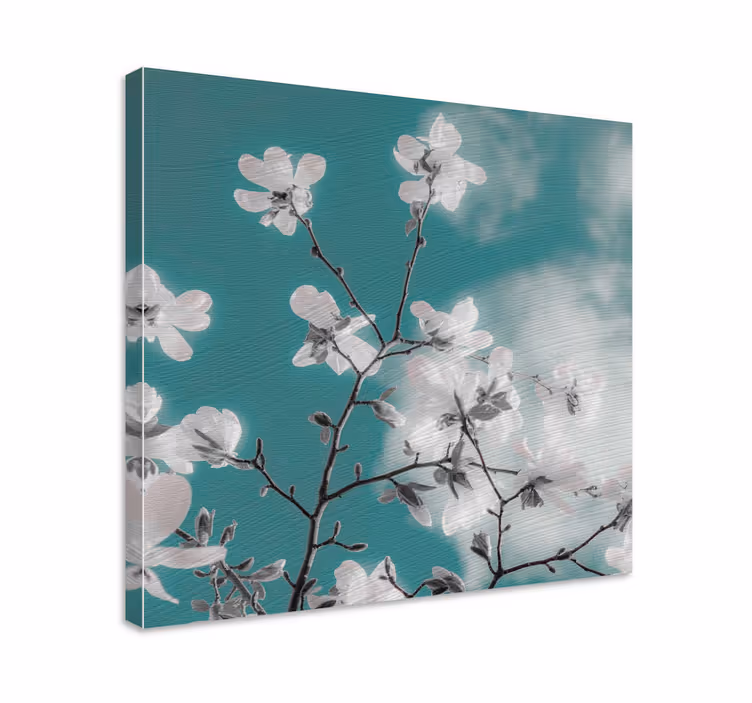 Kaunis aurinkoinen sininen taivas canvas taulu kukka - Tenstickers
