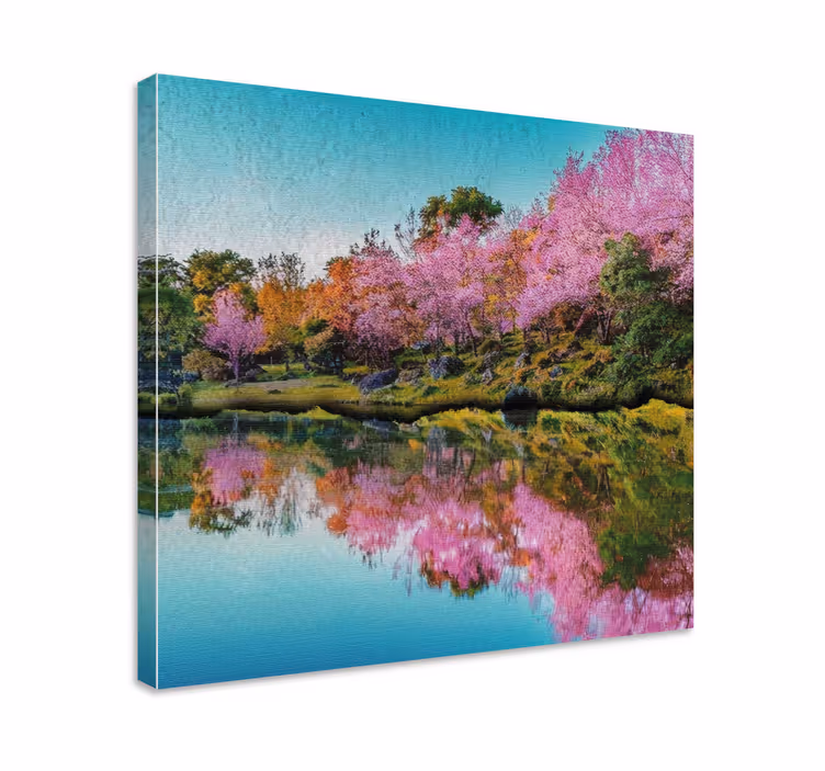 Kirsikankukan heijastus maisema canvas taulu - Tenstickers