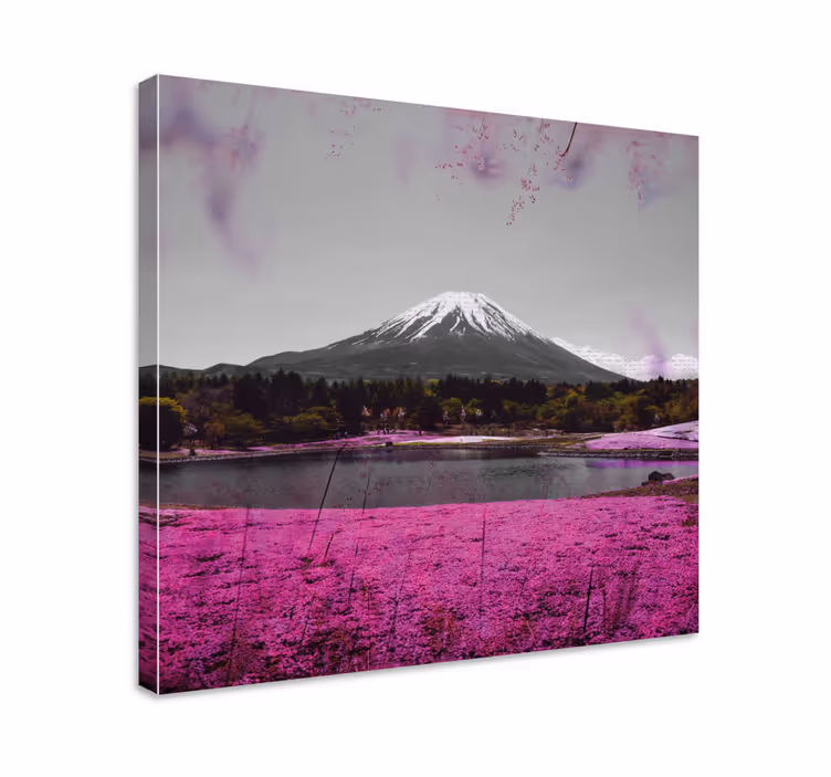 Vaaleanpunaisia kukkia kenttä japanissa canvas taulu kukka - Tenstickers