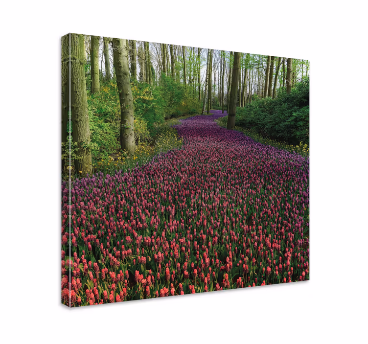 Kukkiva kukkatie canvas taulu - Tenstickers