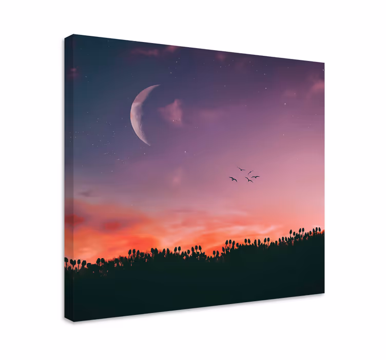 Kuutamo-illan taivas canvas-taulu - Tenstickers
