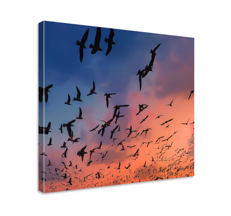 Linnut lentävät taivaalla canvas taulu kukka - Tenstickers