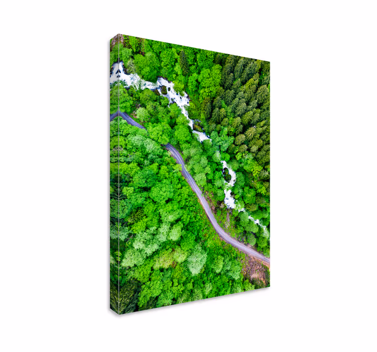 Kihara metsäjoki maisema canvas taulu - Tenstickers