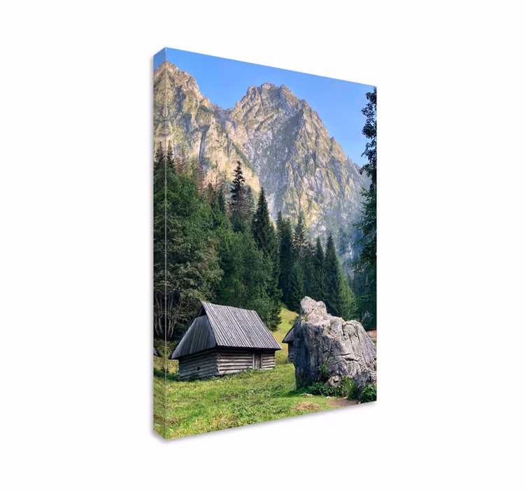 Vuoristoinen metsämaisema canvas taulu - Tenstickers