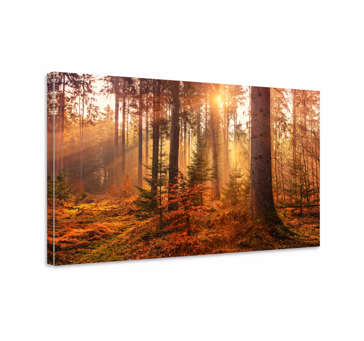 Täydellinen syksyinen metsä canvas taulu maisema - Tenstickers