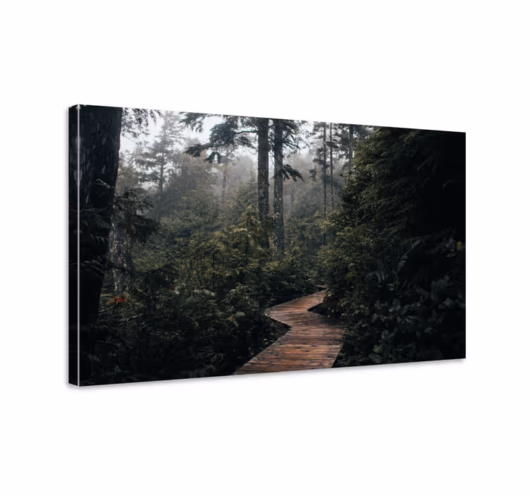 Puinen polku luonnossa canvas taulu maisema - Tenstickers