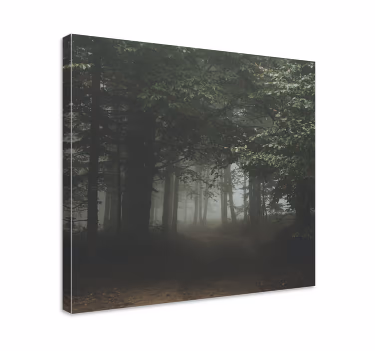 Hämärä metsäpolku canvas taulu - Tenstickers