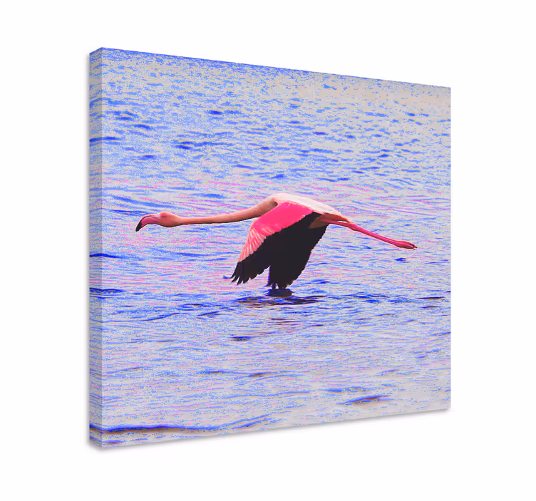 Mukava laukaus flamingo vedellä Canvas eteiseen - Tenstickers