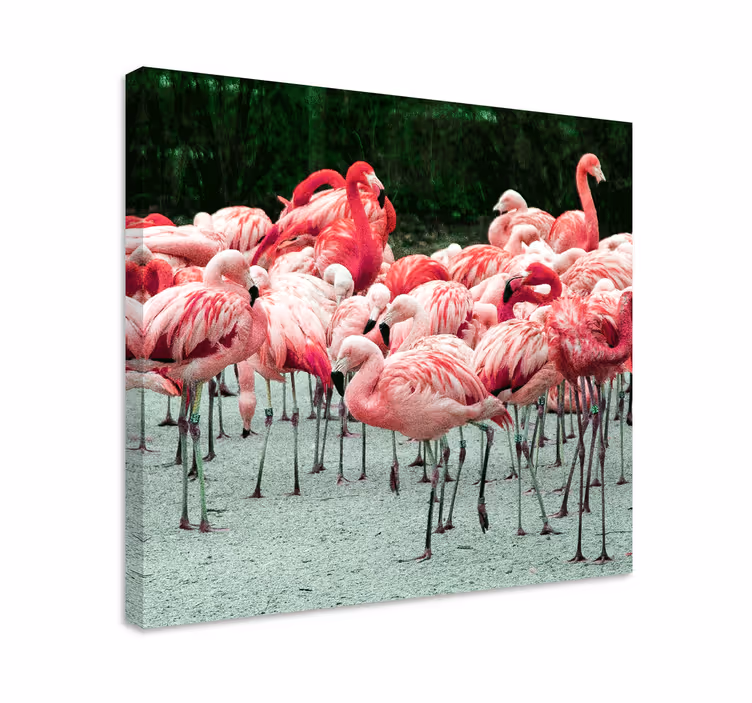 Flamingo parvi lintutaulu canvas - Tenstickers