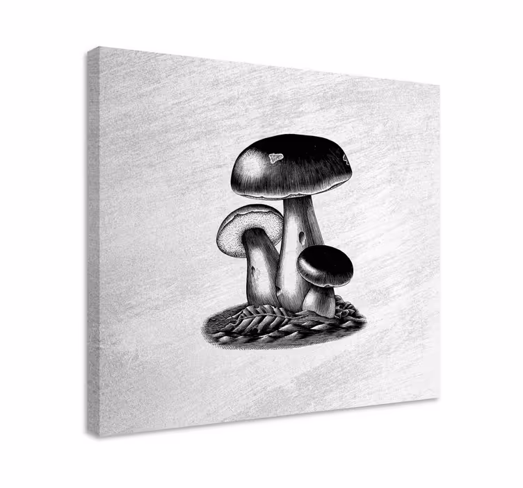 Kukka ja kasvi canvas taulu sienitrio - Tenstickers