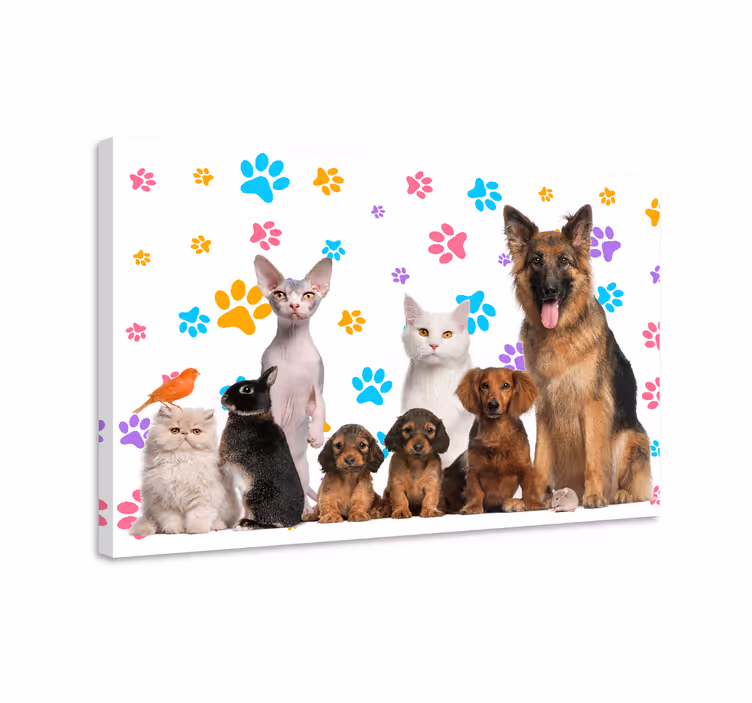 Koirat ja kissat Muut eläimet canvas - Tenstickers