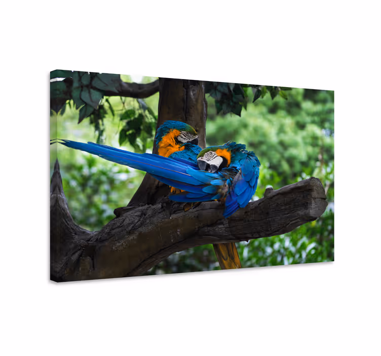 Värikkäät papukaijat canvas taulu - Tenstickers