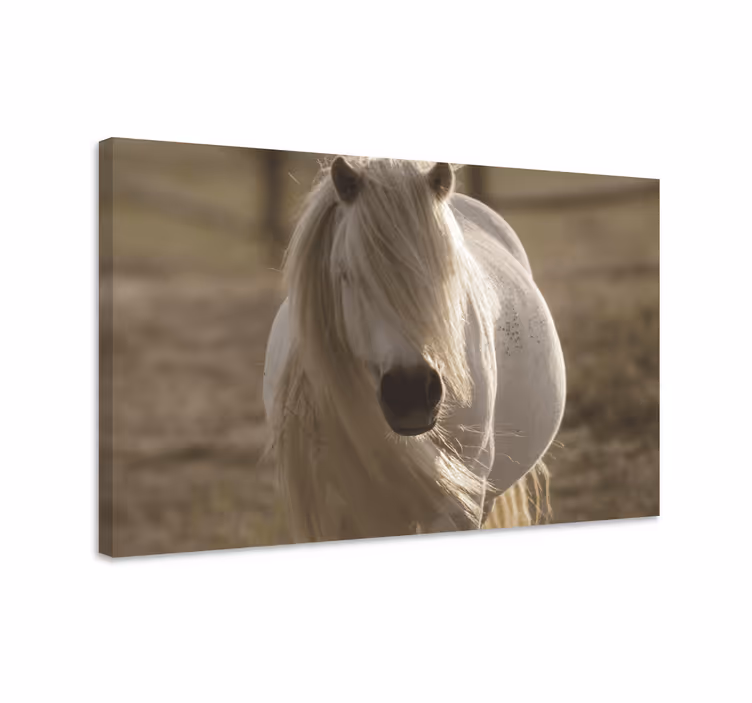 Majesteettinen hevosmuotokuva hevonen canvas - Tenstickers