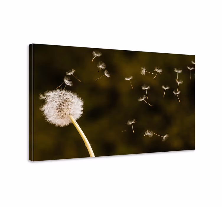 Voikukan siemenet leijumassa canvas-taulu - Tenstickers
