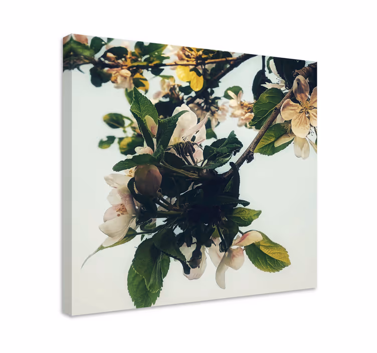 Kukkiva omenapuun haara canvas taulu - Tenstickers