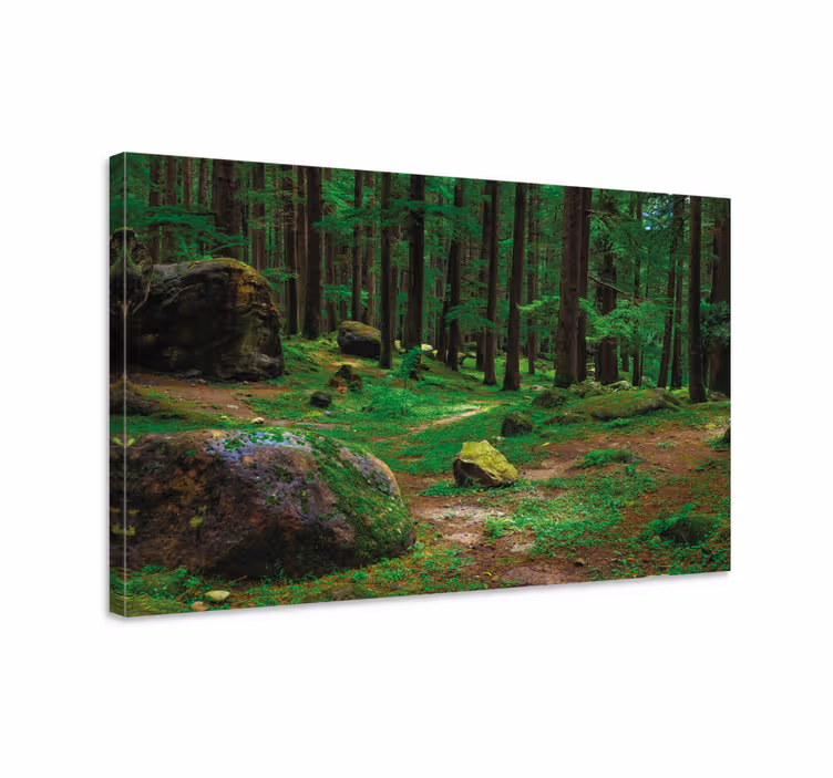 Vihreä metsä puiden kanssa canvas taulu maisema - Tenstickers