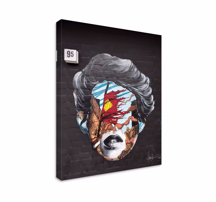 Graffiti kasvot tiilet taide canvas - Tenstickers