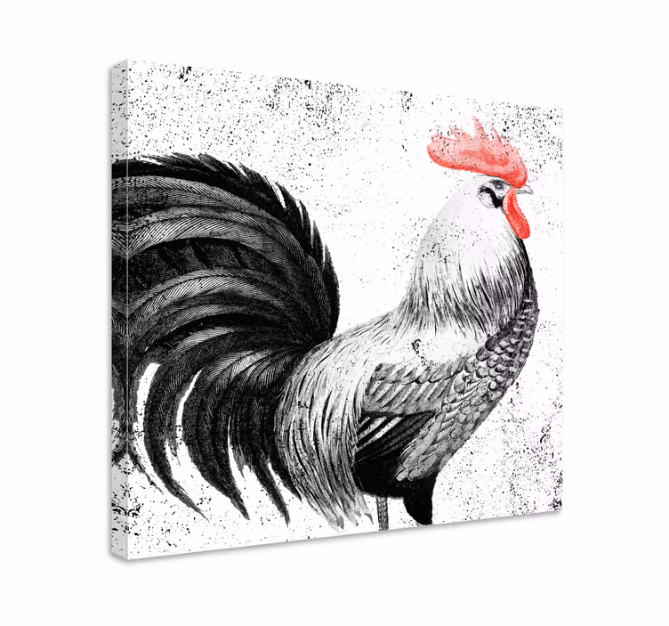 Musta ja punainen kukko lintu canvas - Tenstickers
