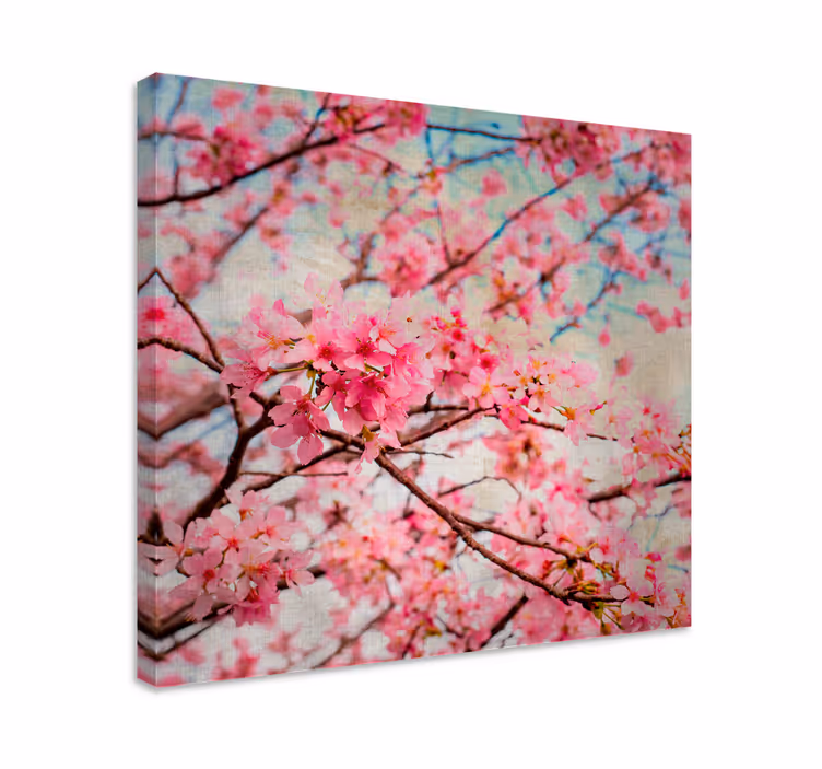 Näön kirsikan kukat canvas taulu kukka - Tenstickers