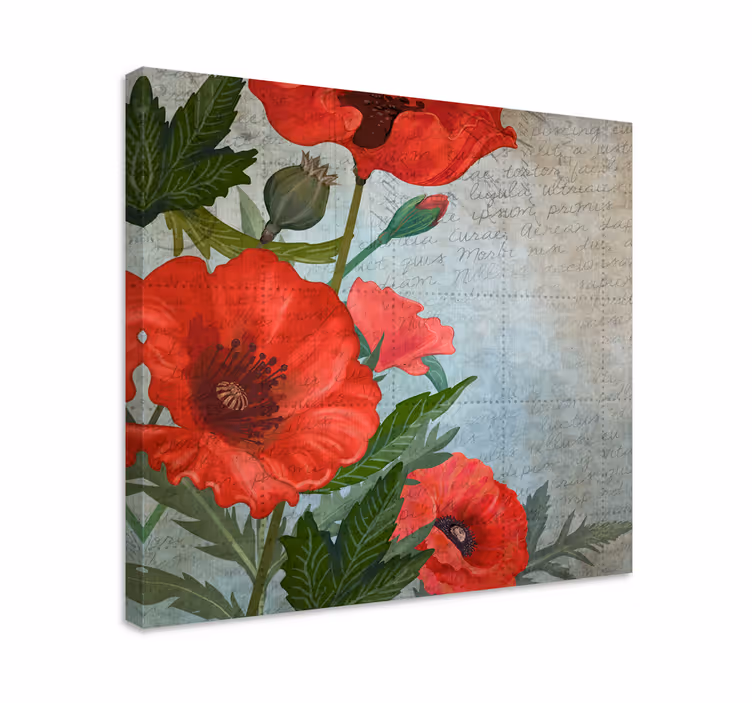 Punainen ja valkoinen vintage -unikot canvas taulu kukka - Tenstickers