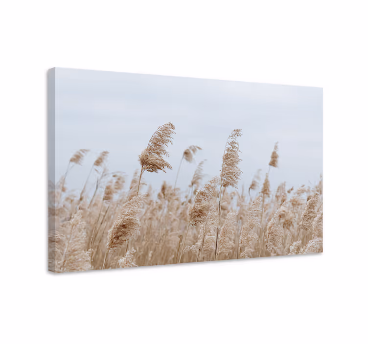 Pehmeä nurmituulen kukka ja kasvi canvas taulu - Tenstickers