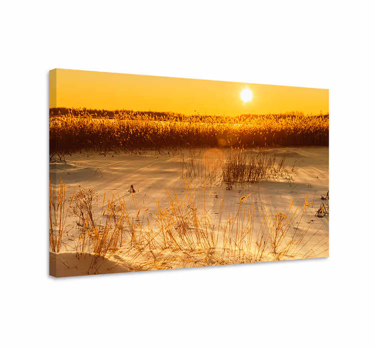 Kultainen auringonnousu maisema canvas taulu - Tenstickers