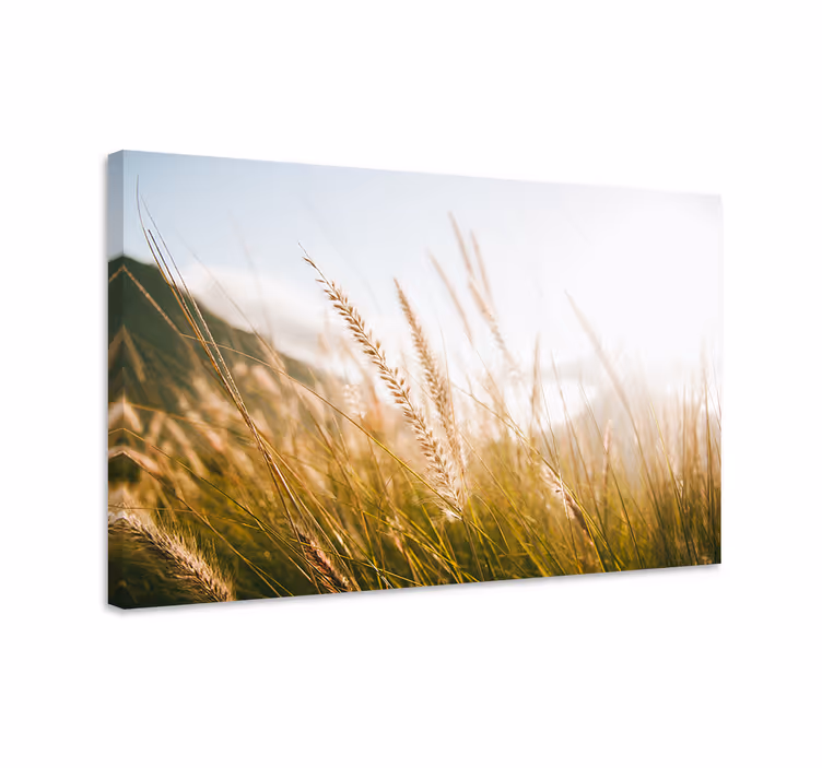 Kultaheinäniitty kukka ja kasvi canvas taulu - Tenstickers