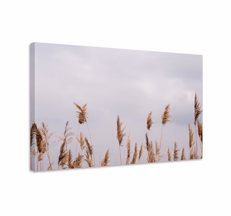 Korkeat ruohot ja kasvit canvas-taulu - Tenstickers