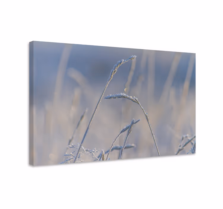 Kukkakuvioinen ja kasvitunnelmainen canvas-taulu - Tenstickers