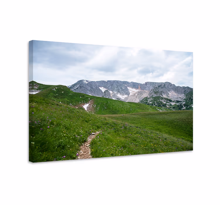 Rauhallinen vuoristopolku maisema canvas taulu - Tenstickers