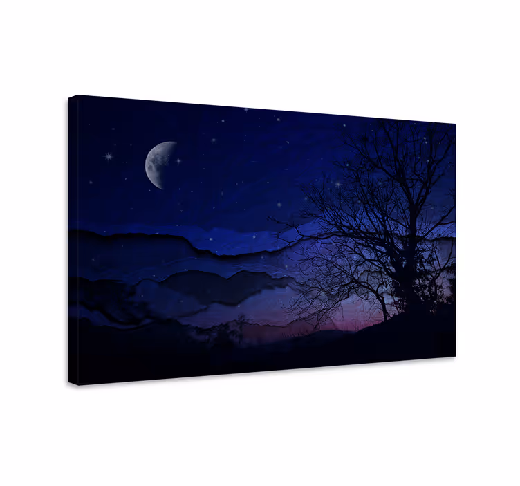 Yö alkuperäinen maisema kuun kanssa canvas taulu maisema - Tenstickers