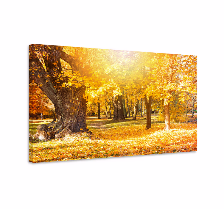 Syksyn metsäpolku puu canvas taulu - Tenstickers