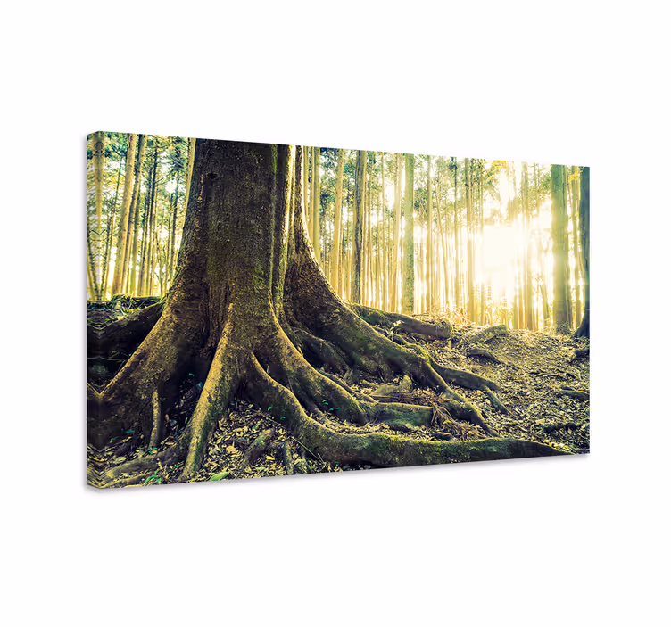Kultainen metsä auringon säteillä canvas taulu maisema - Tenstickers