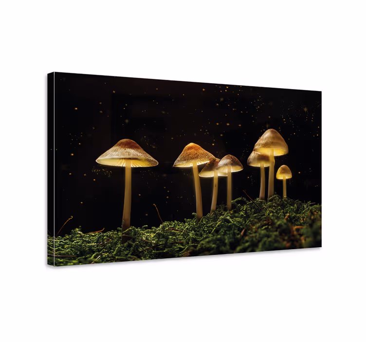 Kukkivat sienet canvas taulu - Tenstickers
